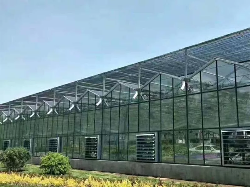 Que tipo de culturas pode ser cultivada em uma fazenda vertical de aço?